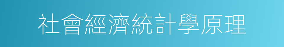 社會經濟統計學原理的同義詞