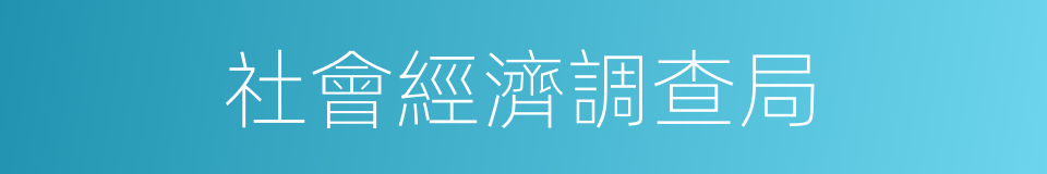 社會經濟調查局的同義詞