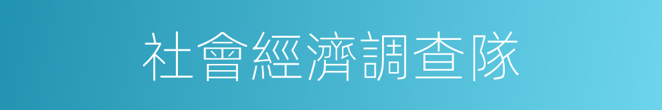 社會經濟調查隊的同義詞