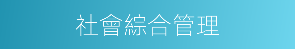 社會綜合管理的同義詞