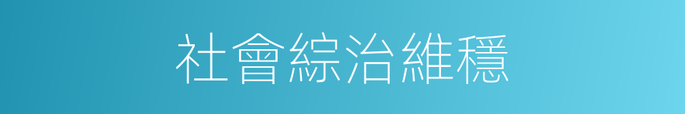 社會綜治維穩的同義詞