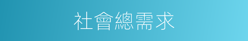社會總需求的意思