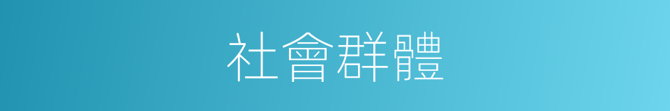 社會群體的同義詞