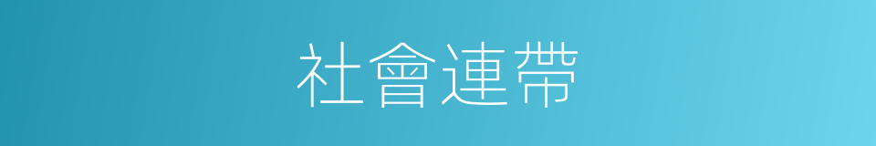 社會連帶的意思