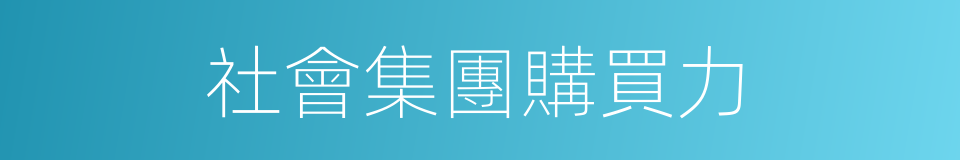 社會集團購買力的意思