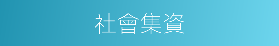 社會集資的同義詞