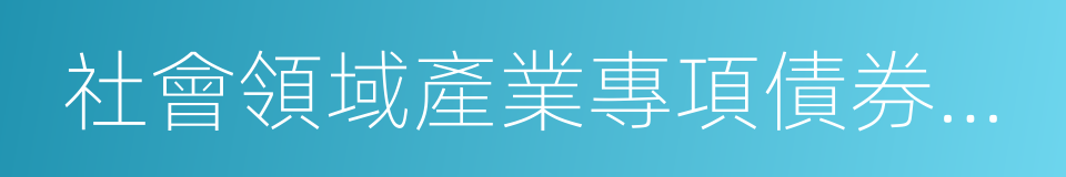 社會領域產業專項債券發行指引的同義詞