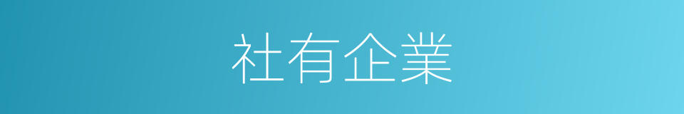 社有企業的同義詞
