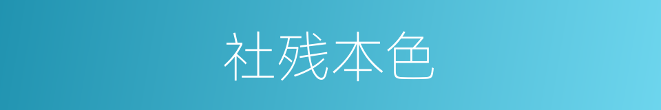 社残本色的同义词