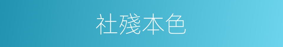 社殘本色的同義詞