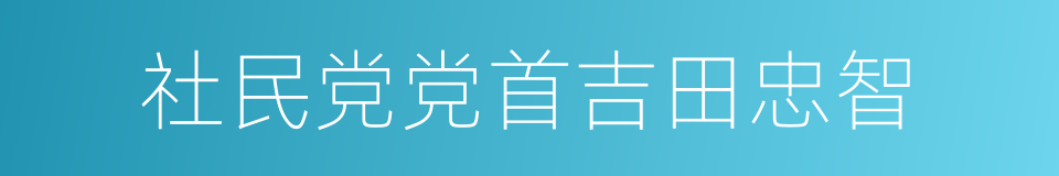 社民党党首吉田忠智的同义词