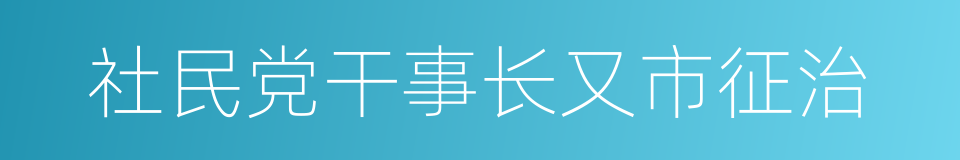 社民党干事长又市征治的同义词