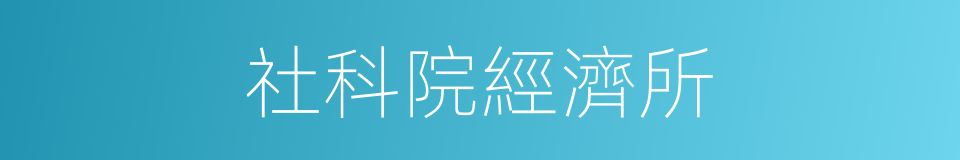 社科院經濟所的同義詞