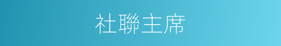 社聯主席的同義詞