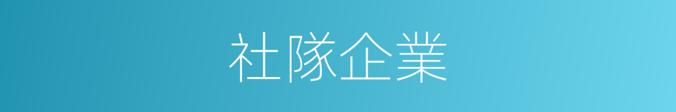 社隊企業的同義詞