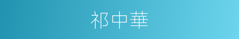 祁中華的同義詞