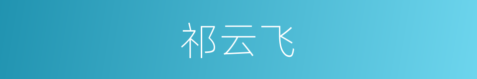 祁云飞的同义词