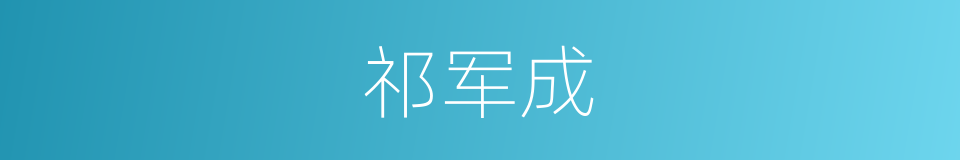 祁军成的同义词
