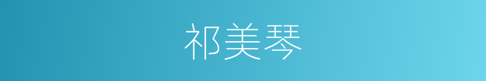 祁美琴的同义词