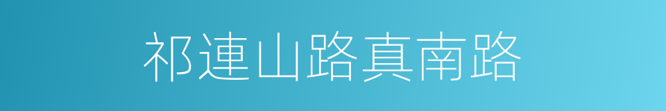 祁連山路真南路的同義詞