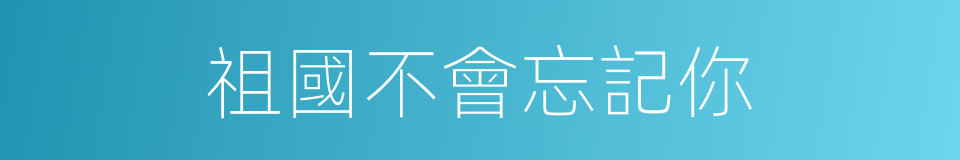 祖國不會忘記你的同義詞