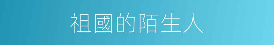祖國的陌生人的同義詞