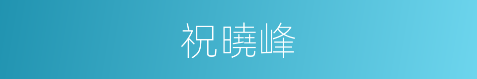 祝曉峰的同義詞