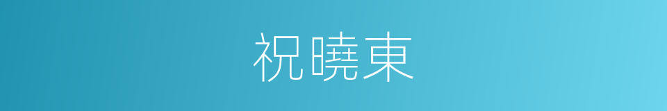 祝曉東的同義詞