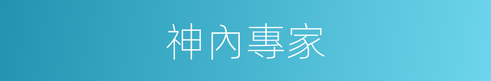 神內專家的同義詞