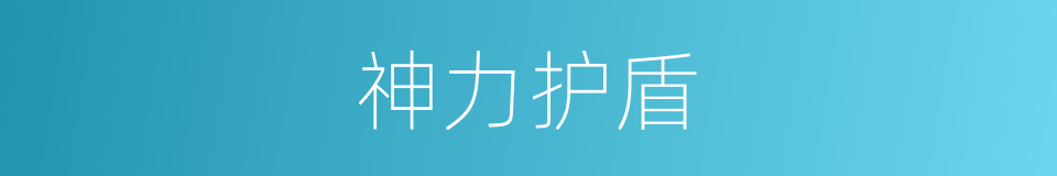 神力护盾的同义词