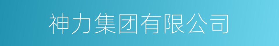 神力集团有限公司的同义词