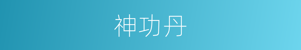 神功丹的同义词