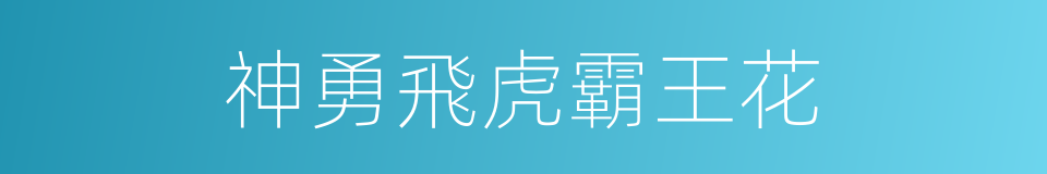 神勇飛虎霸王花的同義詞
