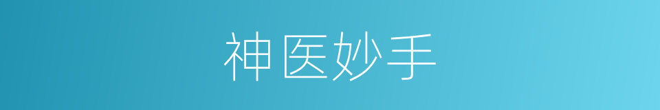 神医妙手的同义词