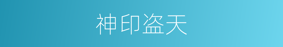 神印盗天的同义词