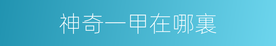 神奇一甲在哪裏的同義詞