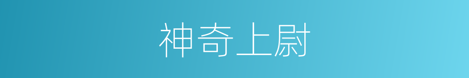 神奇上尉的同义词