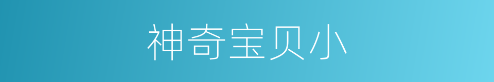 神奇宝贝小的同义词