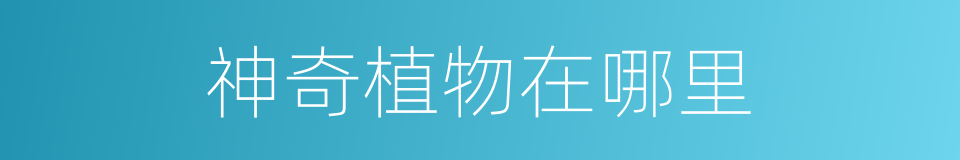 神奇植物在哪里的同义词
