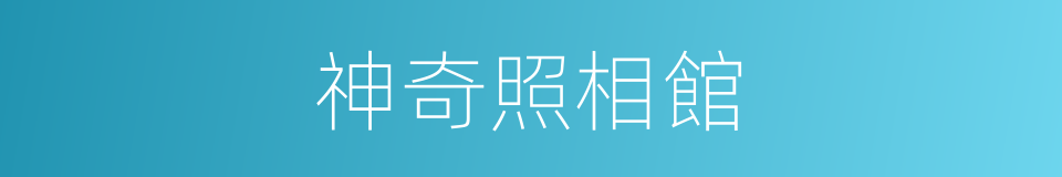 神奇照相館的同義詞