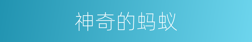 神奇的蚂蚁的同义词