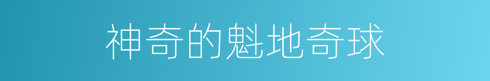 神奇的魁地奇球的同义词