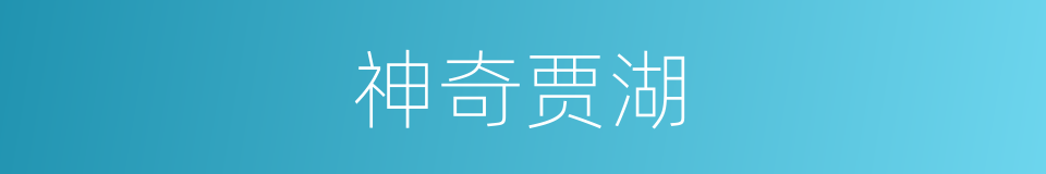 神奇贾湖的同义词