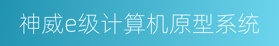 神威e级计算机原型系统的同义词