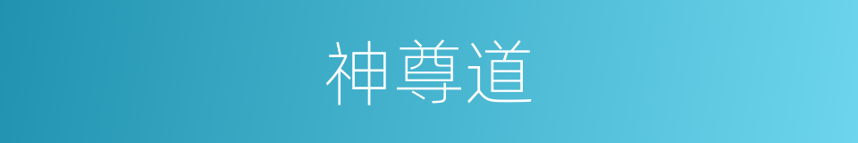 神尊道的同义词