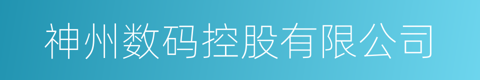 神州数码控股有限公司的同义词