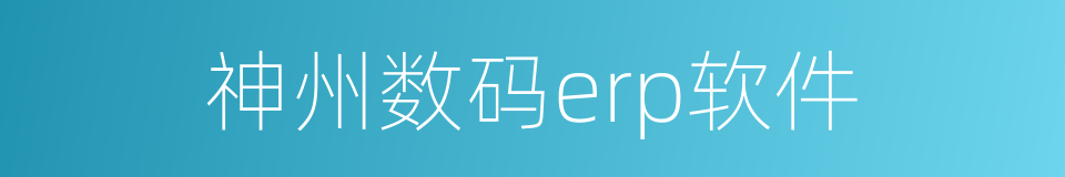 神州数码erp软件的同义词