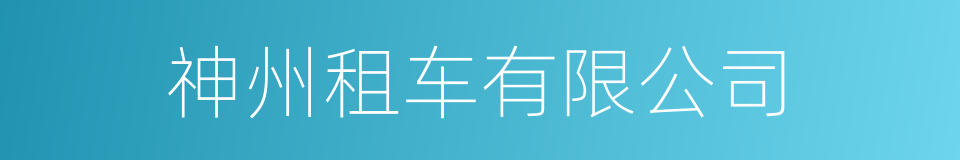 神州租车有限公司的同义词