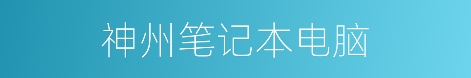 神州笔记本电脑的同义词