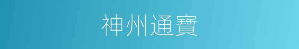 神州通寶的同義詞